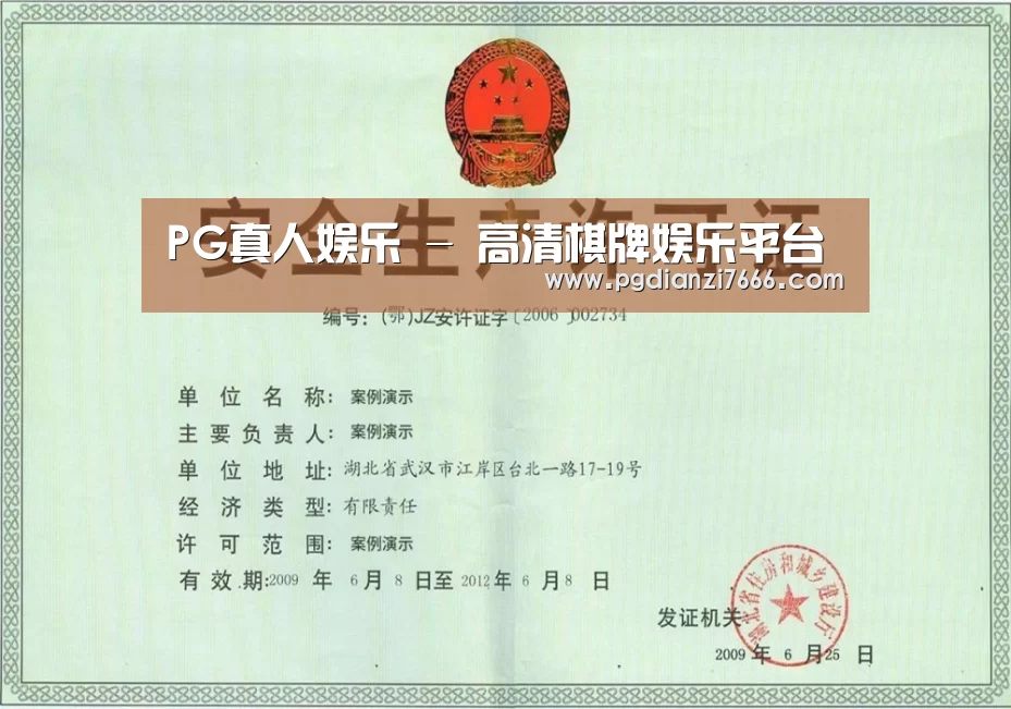 PG真人娱乐荣誉证书三(图1)