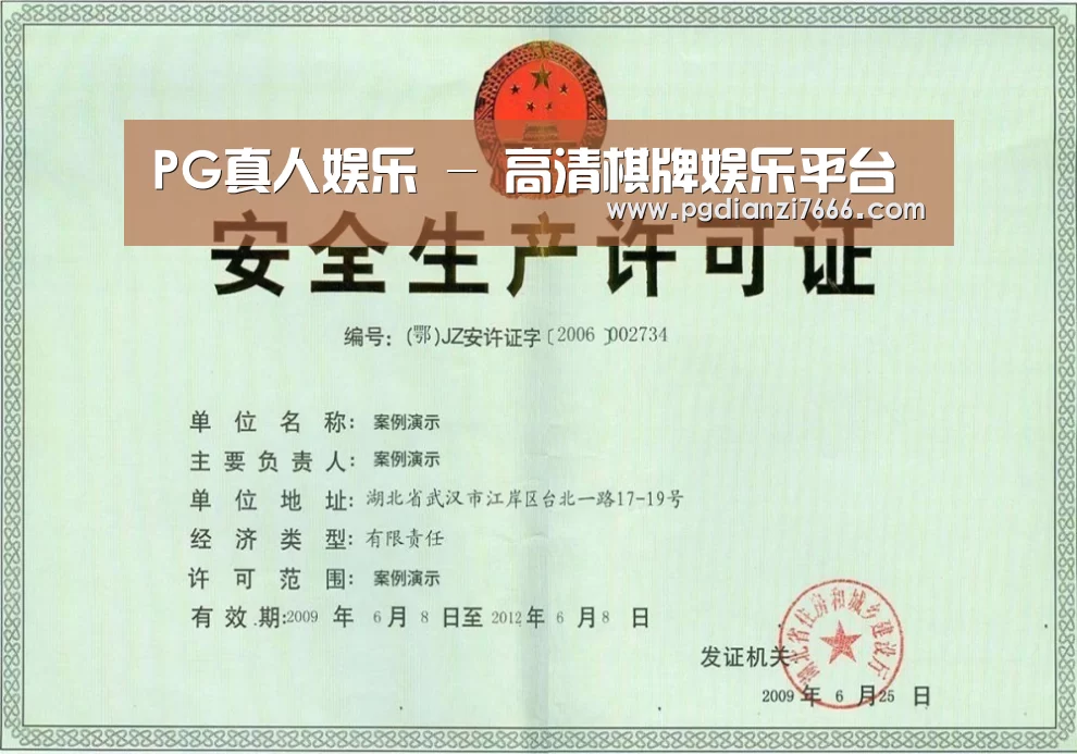 PG真人娱乐荣誉证书三