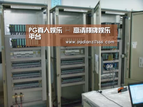 PG真人娱乐案例展示五(图1)