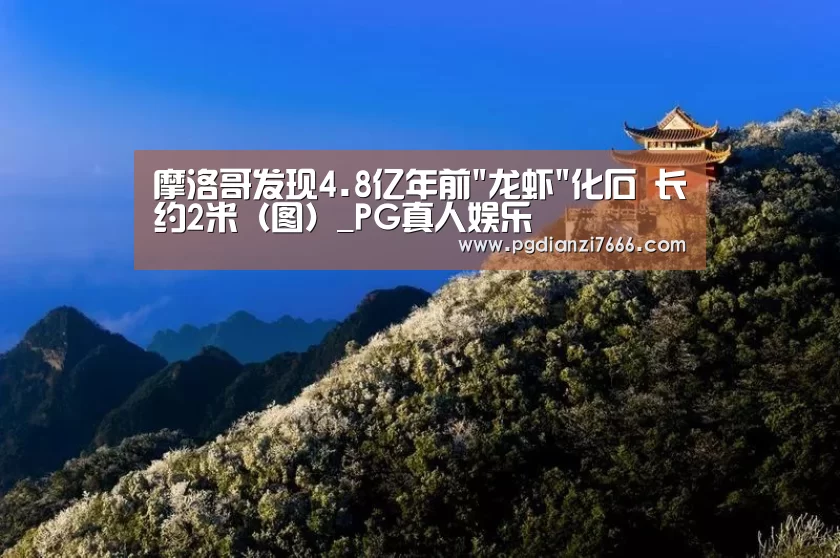 摩洛哥发现4.8亿年前龙虾化石 长约2米(图)_PG真人娱乐(图1) PG电子热门游戏