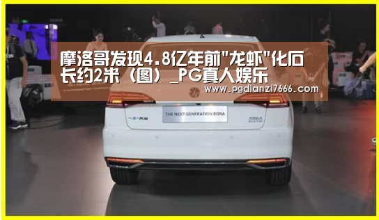 摩洛哥发现4.8亿年前龙虾化石 长约2米(图)_PG真人娱乐(图4) PG麻将APP下载